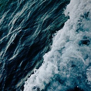 Meet your Posher, Lana